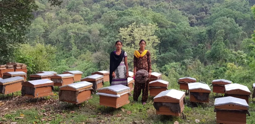 Village Business Idea