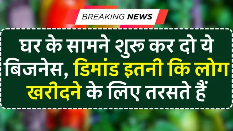 Village Business Idea