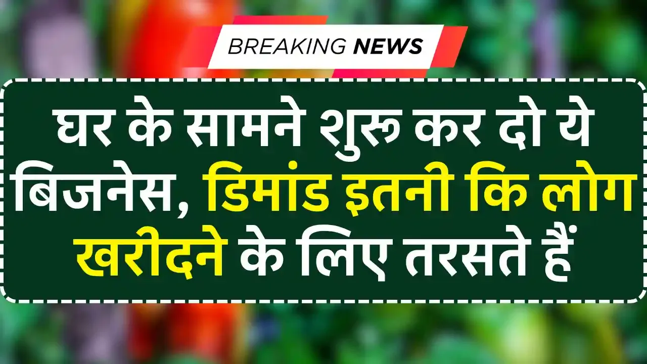 Village Business Idea